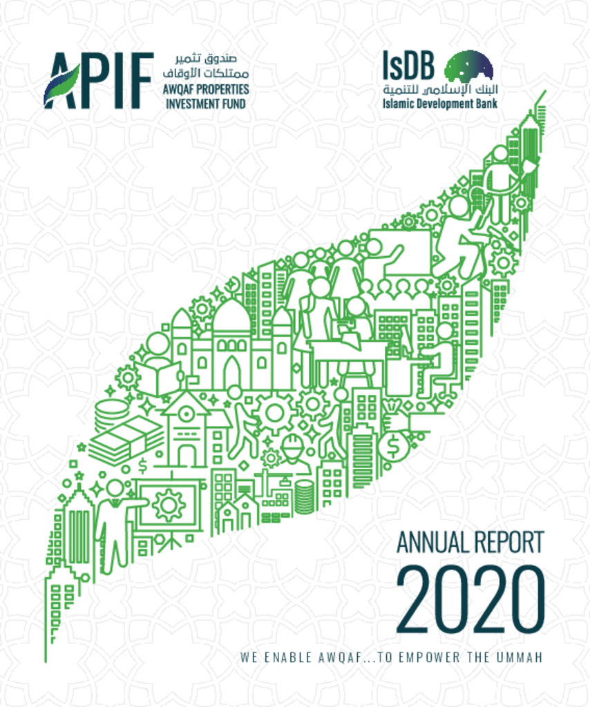 APIF Annual Report 2020
