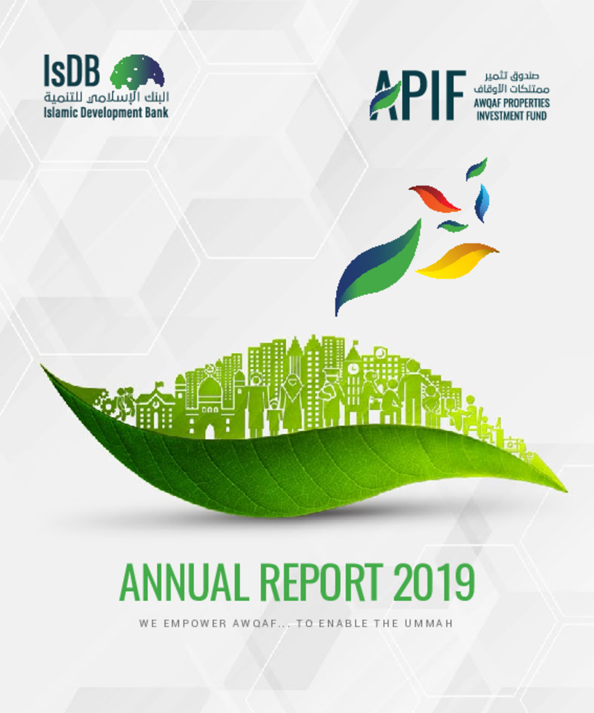 APIF Annual Report 2019